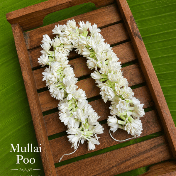 Mullai poo / jasmine flower