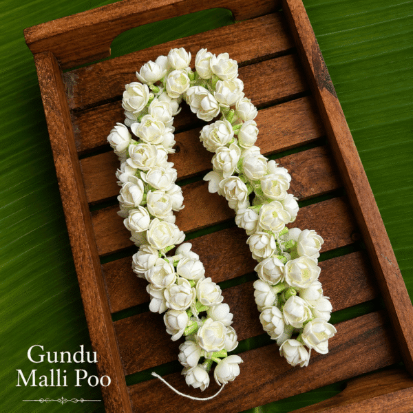 Bloomed jasmine/ gundu Malli poo/ open buds